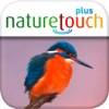 Identify live bird songs app icon