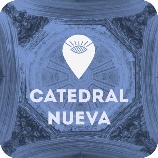 Catedral nueva de Salamanca icône