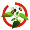 Arloon Plants app icon