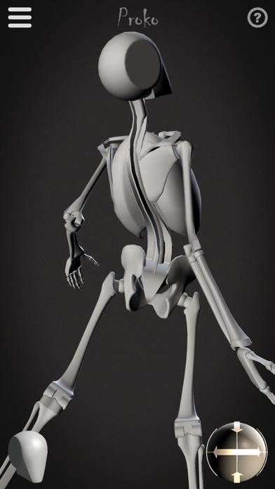 skelly poseable anatomy model