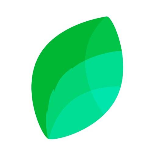 Пыльца Club app icon