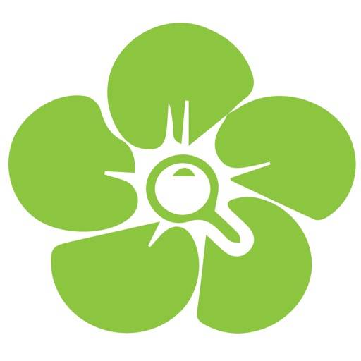 delete InfoFlowers