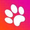 Game for cats! app icon