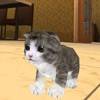 Котенок Кошка Симулятор 3d app icon